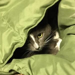 Meet your Posher, Julie